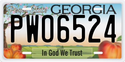 GA license plate PWO6524