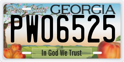 GA license plate PWO6525