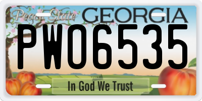 GA license plate PWO6535