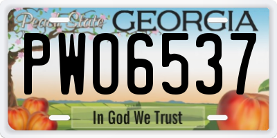 GA license plate PWO6537