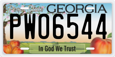 GA license plate PWO6544