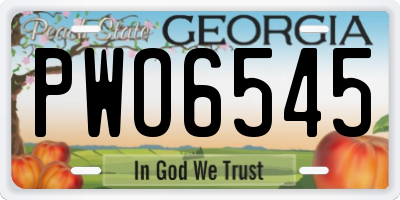 GA license plate PWO6545