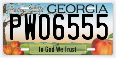 GA license plate PWO6555
