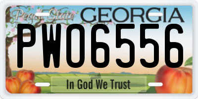 GA license plate PWO6556