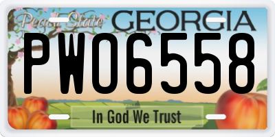 GA license plate PWO6558