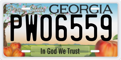 GA license plate PWO6559