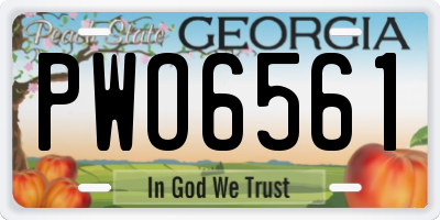 GA license plate PWO6561