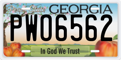 GA license plate PWO6562