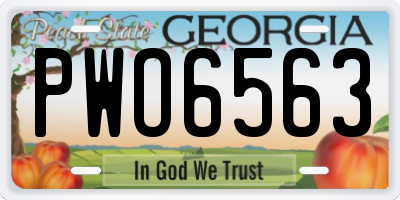 GA license plate PWO6563