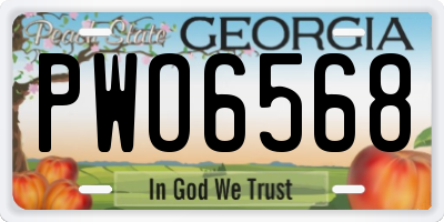 GA license plate PWO6568