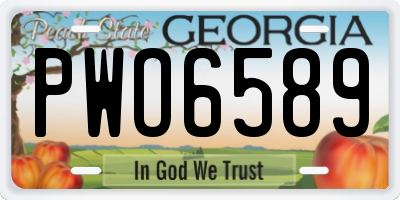 GA license plate PWO6589