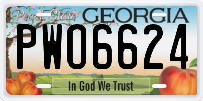 GA license plate PWO6624