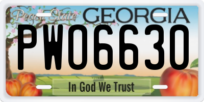 GA license plate PWO6630