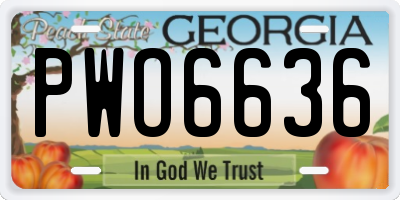 GA license plate PWO6636