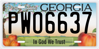 GA license plate PWO6637