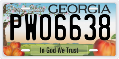 GA license plate PWO6638