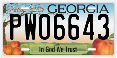 GA license plate PWO6643