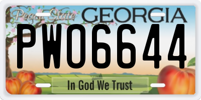 GA license plate PWO6644