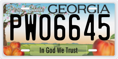 GA license plate PWO6645