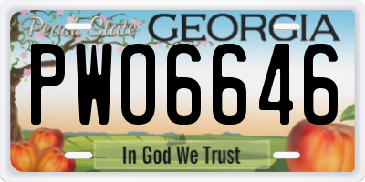 GA license plate PWO6646