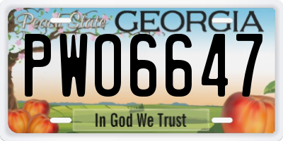 GA license plate PWO6647