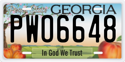 GA license plate PWO6648
