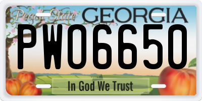 GA license plate PWO6650