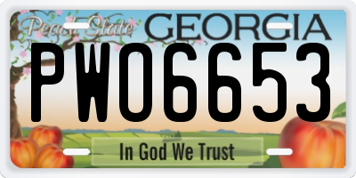 GA license plate PWO6653