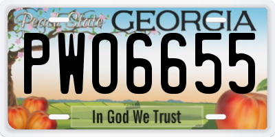 GA license plate PWO6655