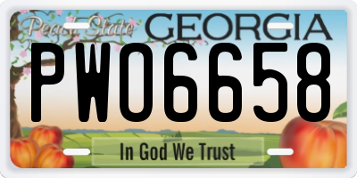 GA license plate PWO6658