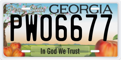 GA license plate PWO6677