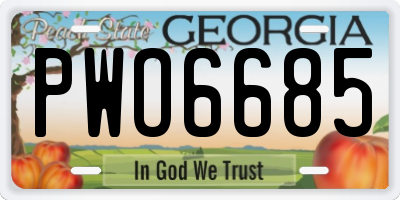 GA license plate PWO6685