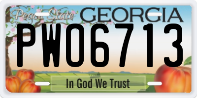 GA license plate PWO6713