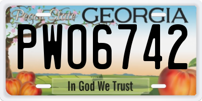 GA license plate PWO6742