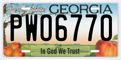 GA license plate PWO6770