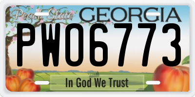 GA license plate PWO6773