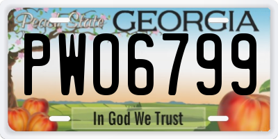 GA license plate PWO6799