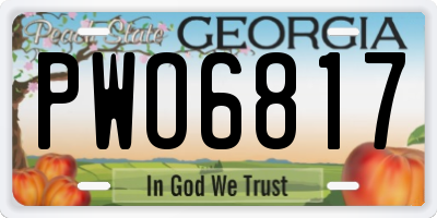 GA license plate PWO6817