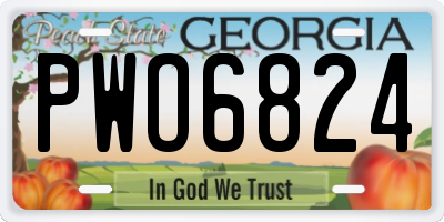GA license plate PWO6824