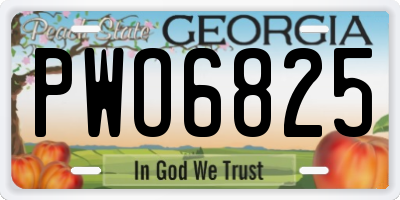 GA license plate PWO6825