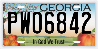 GA license plate PWO6842