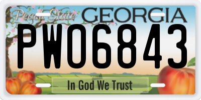 GA license plate PWO6843