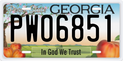 GA license plate PWO6851