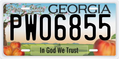 GA license plate PWO6855