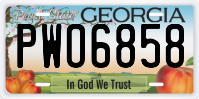 GA license plate PWO6858