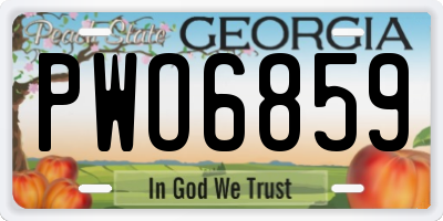 GA license plate PWO6859