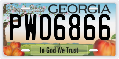 GA license plate PWO6866
