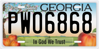GA license plate PWO6868