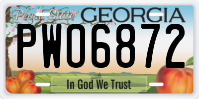 GA license plate PWO6872