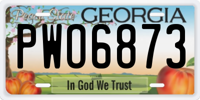 GA license plate PWO6873